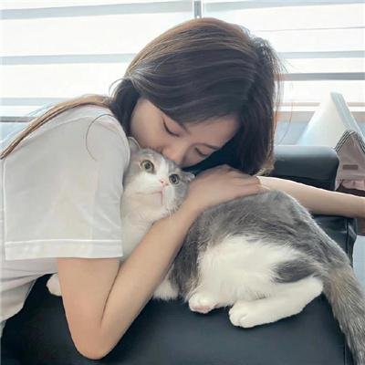 探长薇拉第十四季